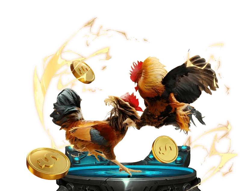 Đội ngũ hỗ trợ khách hàng chuyên nghiệp 24/7 của VIP52